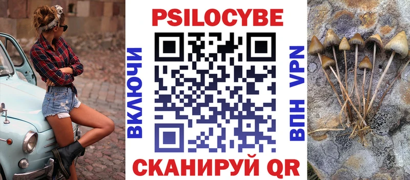 Купить где  Пушкино  Псилоцибиновые грибы мицелий 